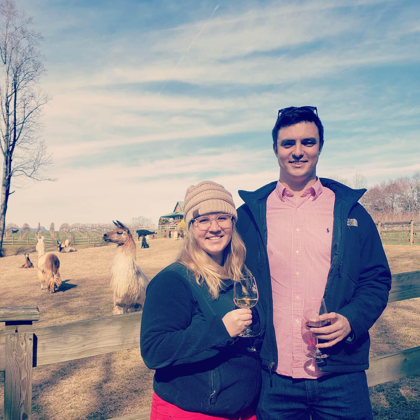 Divine Llama Vineyard! Photo Date: 2/15/2020