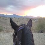 South Mountain Park and Preserve