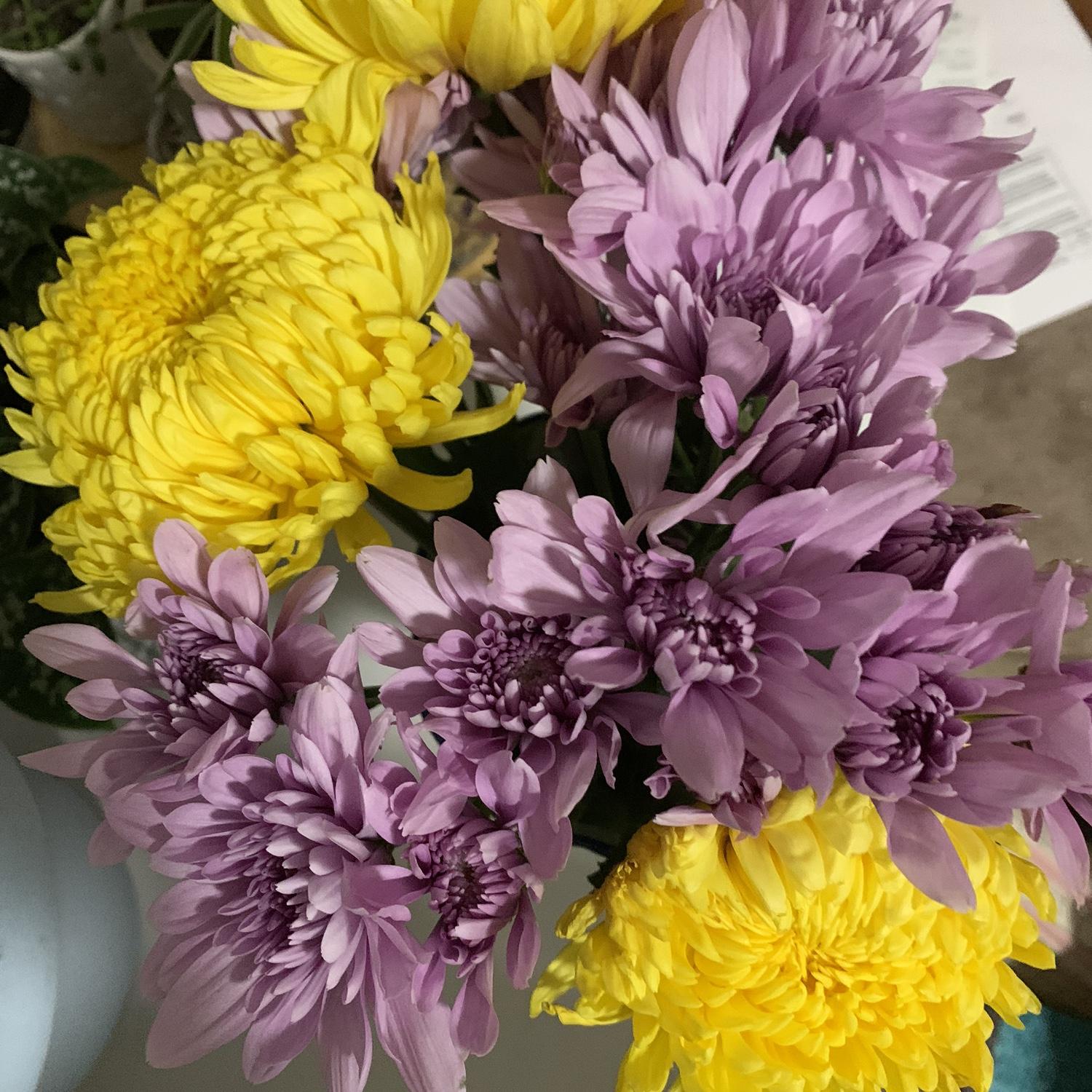 3rd bouquet from Zac