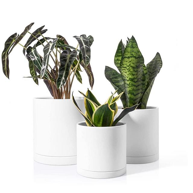 POTEY Terracotta Planter with Drainage Hole and Saucer - 6 Inch 5 Inch 4 Inch Indoor Cylindrical Plants Flower Containers Unglazed Clay Pots - Set of 3, White 222233