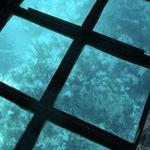 Glass Bottom Boat Cruises - Key Largo Princess
