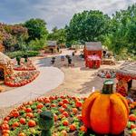 The Dallas Arboretum and Botanical Garden