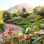 Red Butte Garden