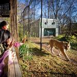 Henry Vilas Zoo