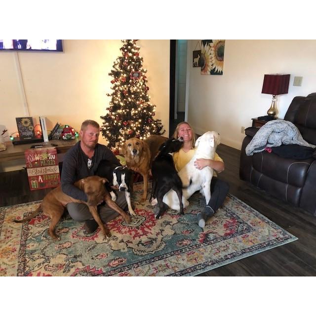 One of our 1st Christmas pictures in our Mesquite home "With the Herd"