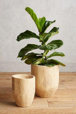 Aux Bois Planter Set