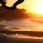 Carmel Beach