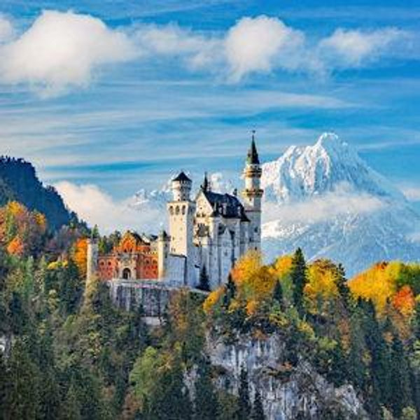 Honeymoon in Germany!✈️ (Venmo)