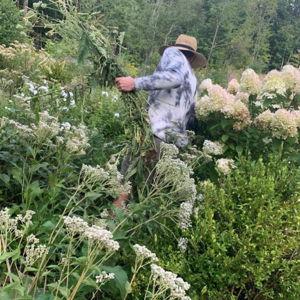Gardening Fund