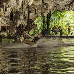 Jungle Maya Native Park