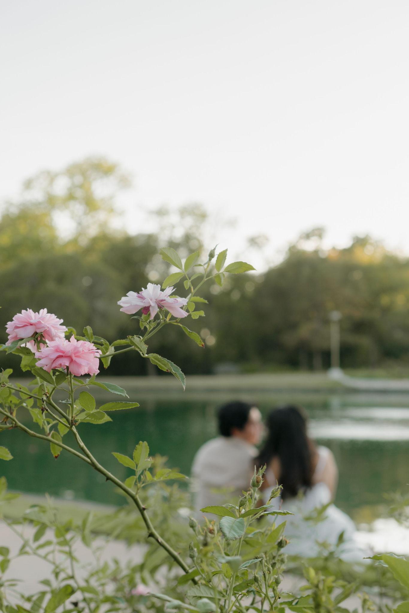 The Wedding Website of Andrea Pesina and Vincent Ventura
