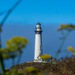 Point Lobos State Natural Reserve