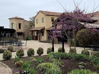 Grape Creek Vineyards