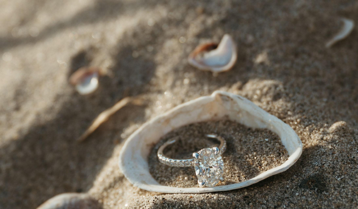 Footer image
