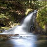 Raven Cliff Falls
