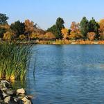 Hellyer County Park