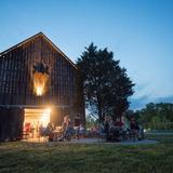 Great Frogs Winery