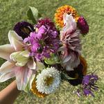 South Shore Farmers’ Market