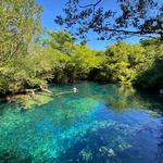 Indigenous Eyes Ecological Reserve