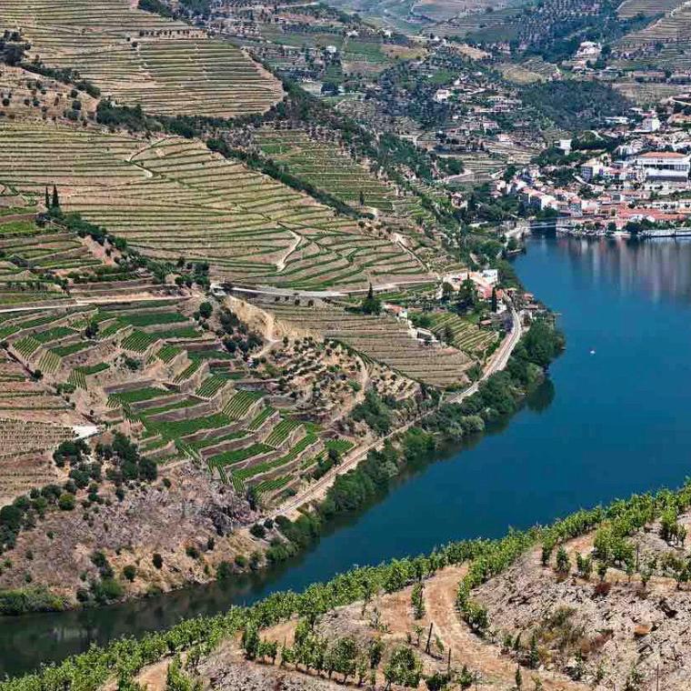 Portuguese Winery Tour + Catered Winemaker’s Lunch in Douro Wine Valley