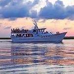 Hilton Head Dolphin Cruises 🐬 Tale Hunter
