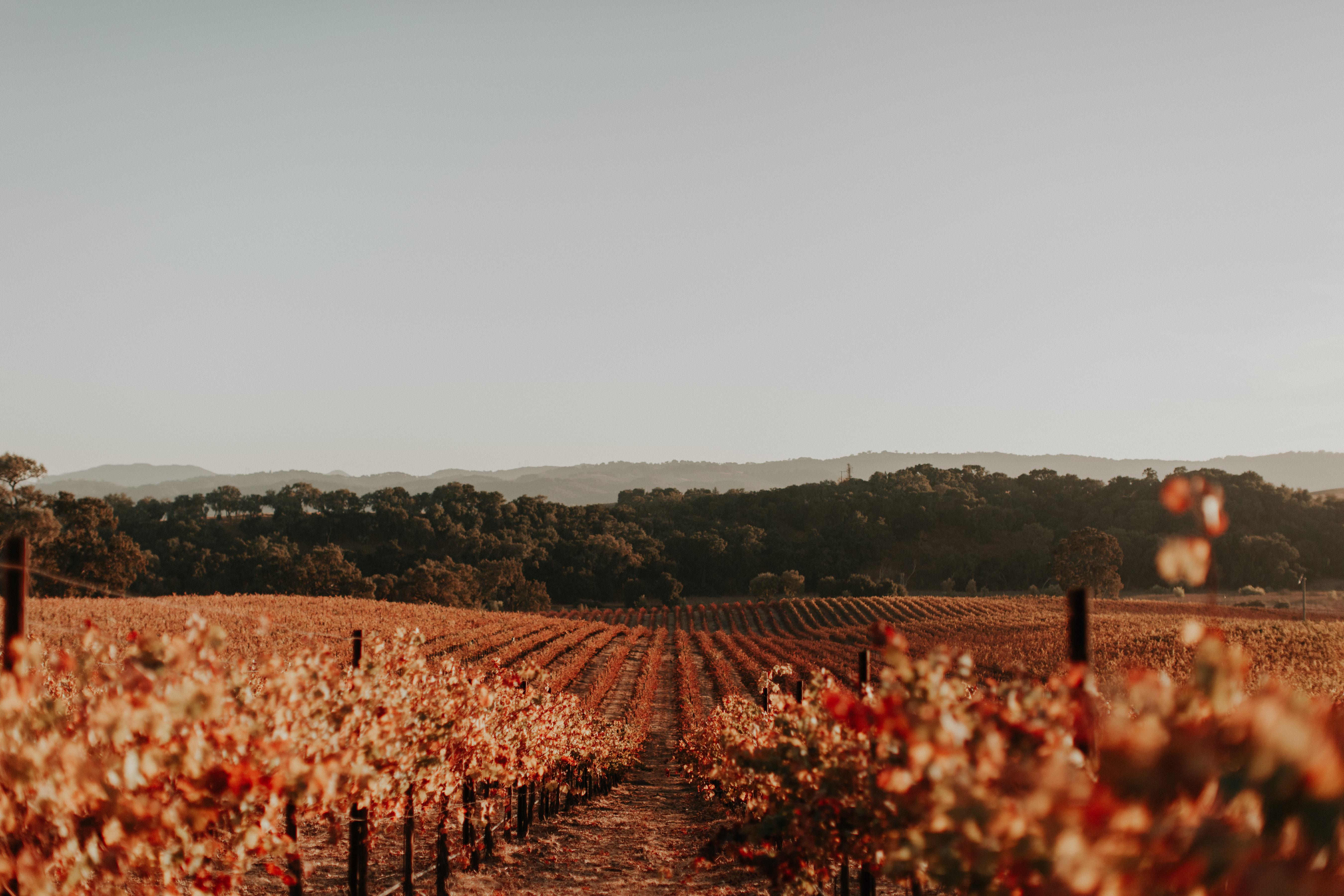 The Wedding Website of Shonna Davis and Justin Clarke