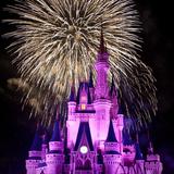 Walt Disney World