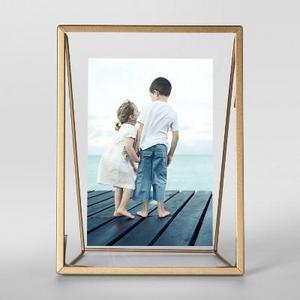 Easel Single Image Frame 4x6 - Project 62™