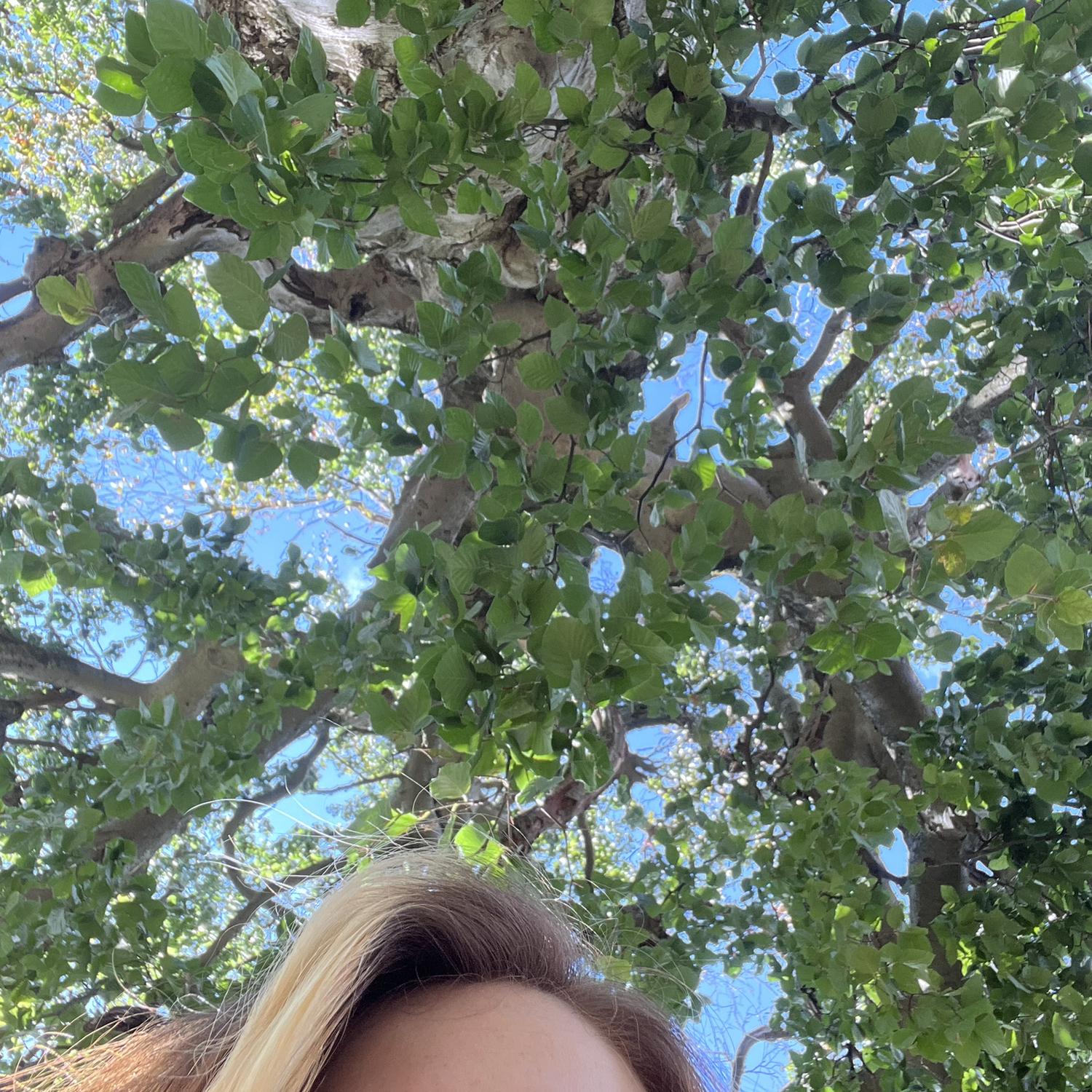 taking pictures under the tree where Chad would propose
