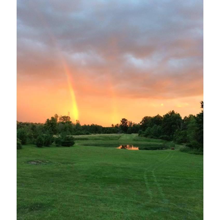 The view from our back porch !