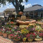 Disney Springs