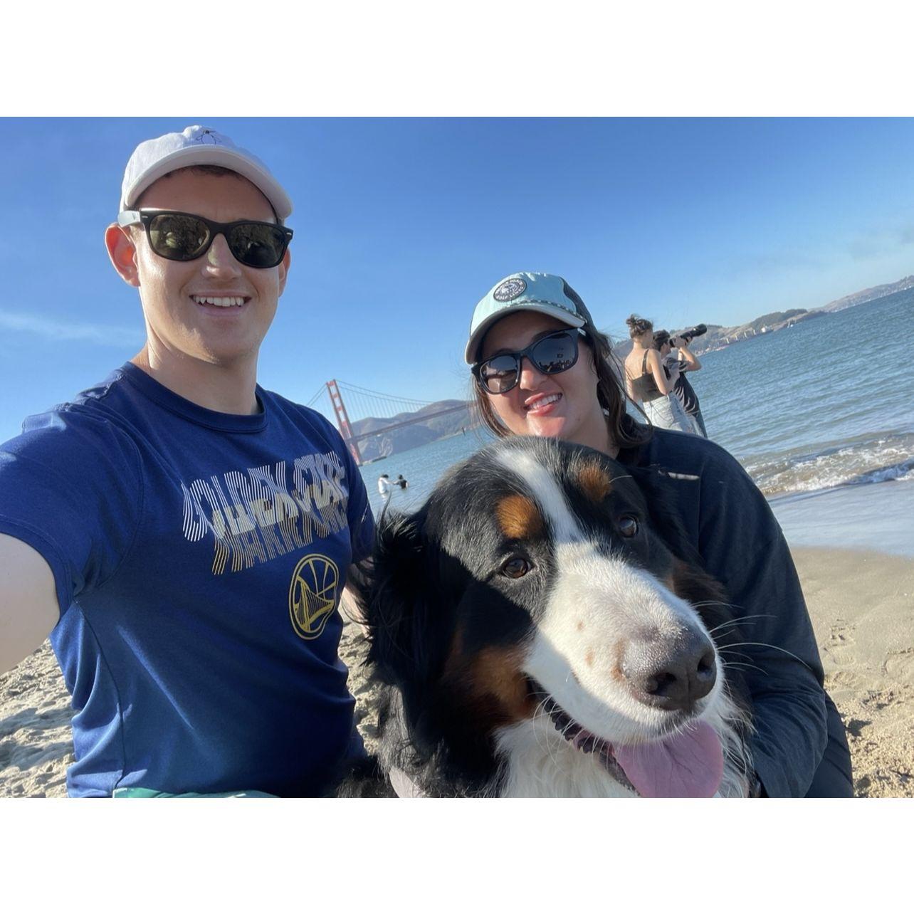 Taking the pup to SF Fleet Week.