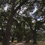 Audubon Park