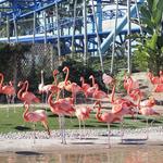 San Diego Zoo