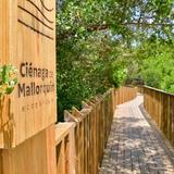 Ecoparque Ciénaga de Mallorquín