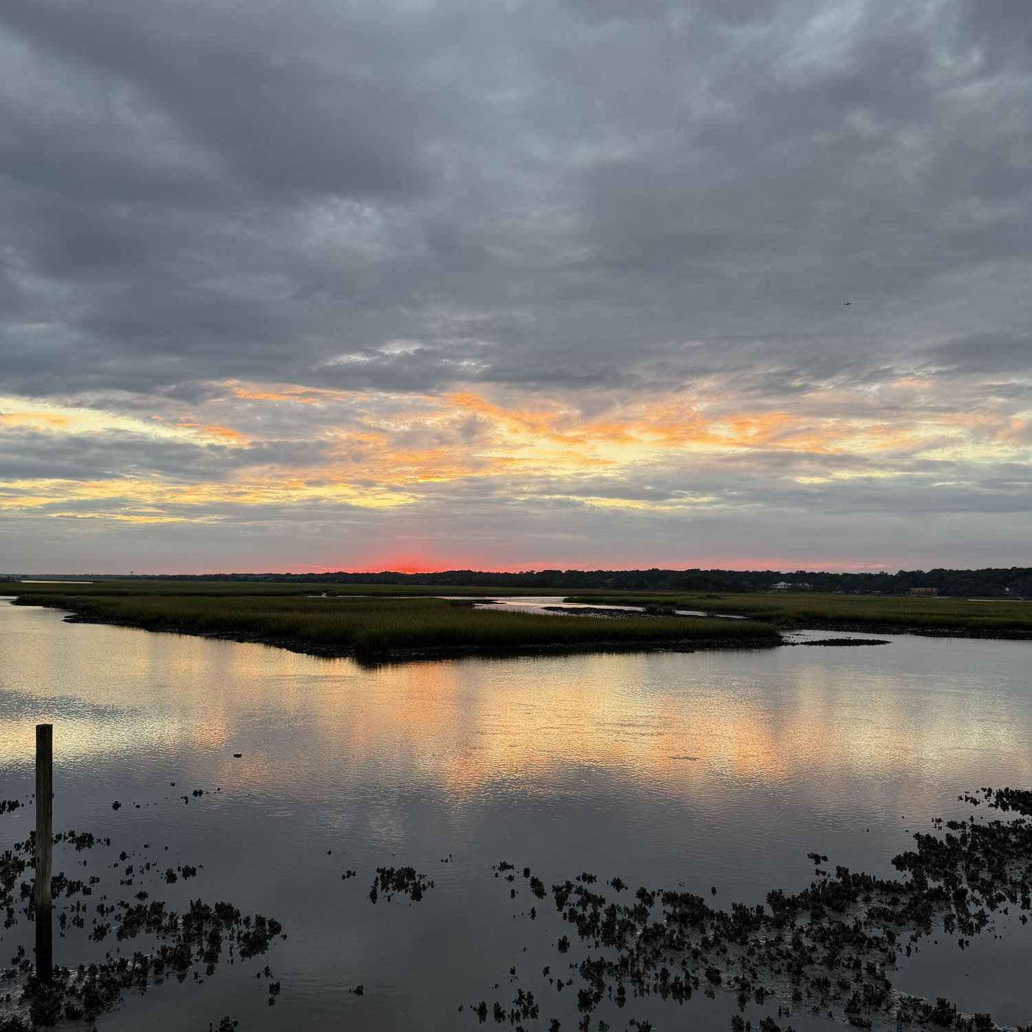 God blessed Mac and I with a beautiful sunset on the most perfect evening!