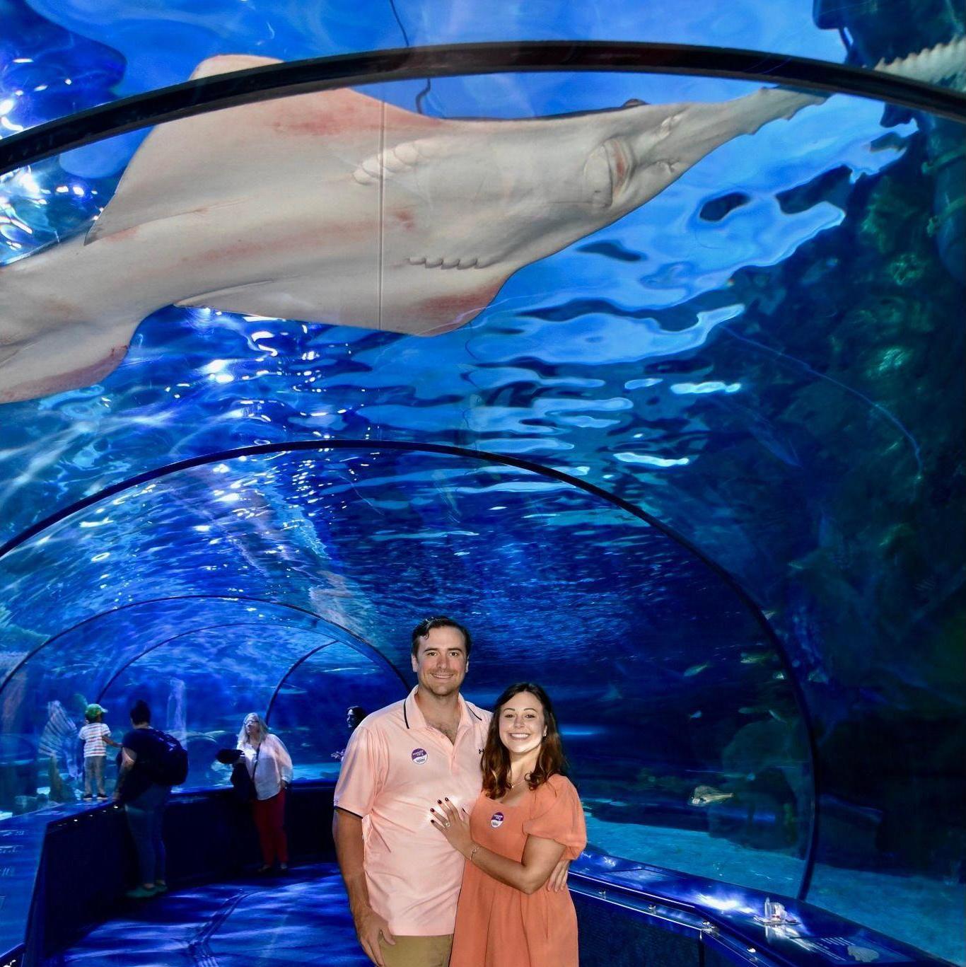 Making more friends in the aquarium