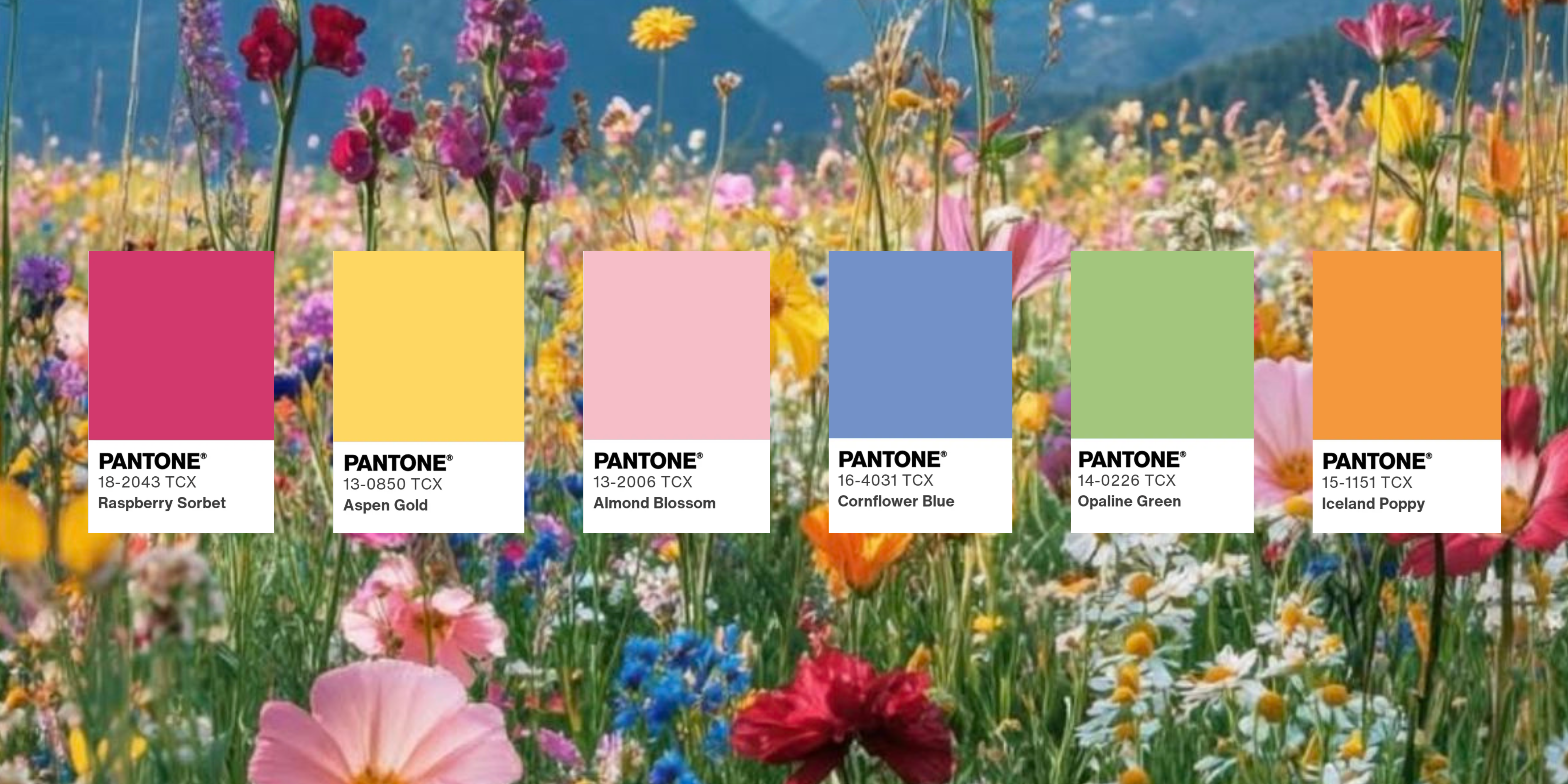 The Wedding Website of Carina Richardson and Rafael Musni