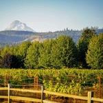 Stave & Stone Winery