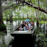 Cajun Encounters Tour Company