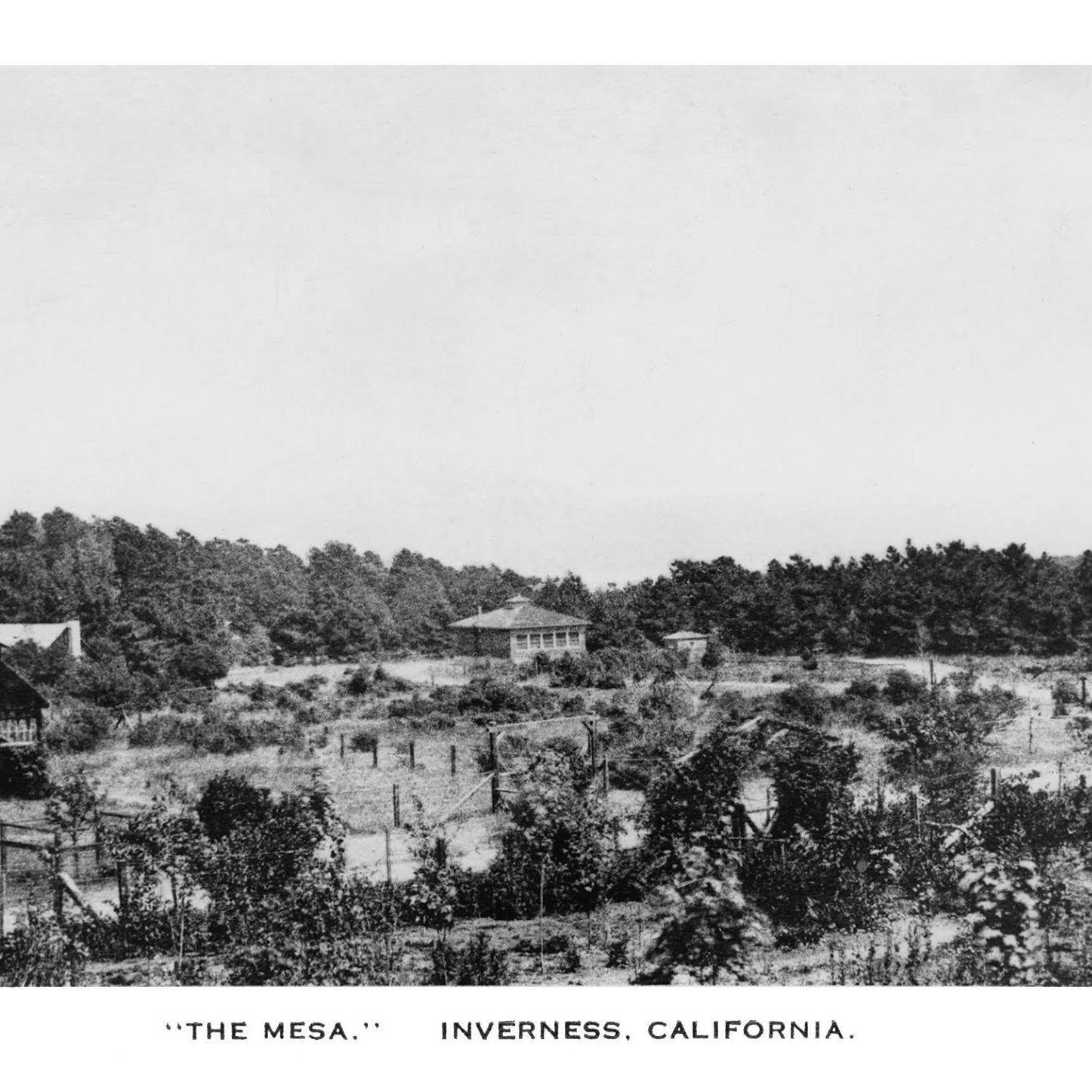 The original house is in the middle of this old postcard of "The Mesa"