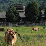 Billings Farm & Museum