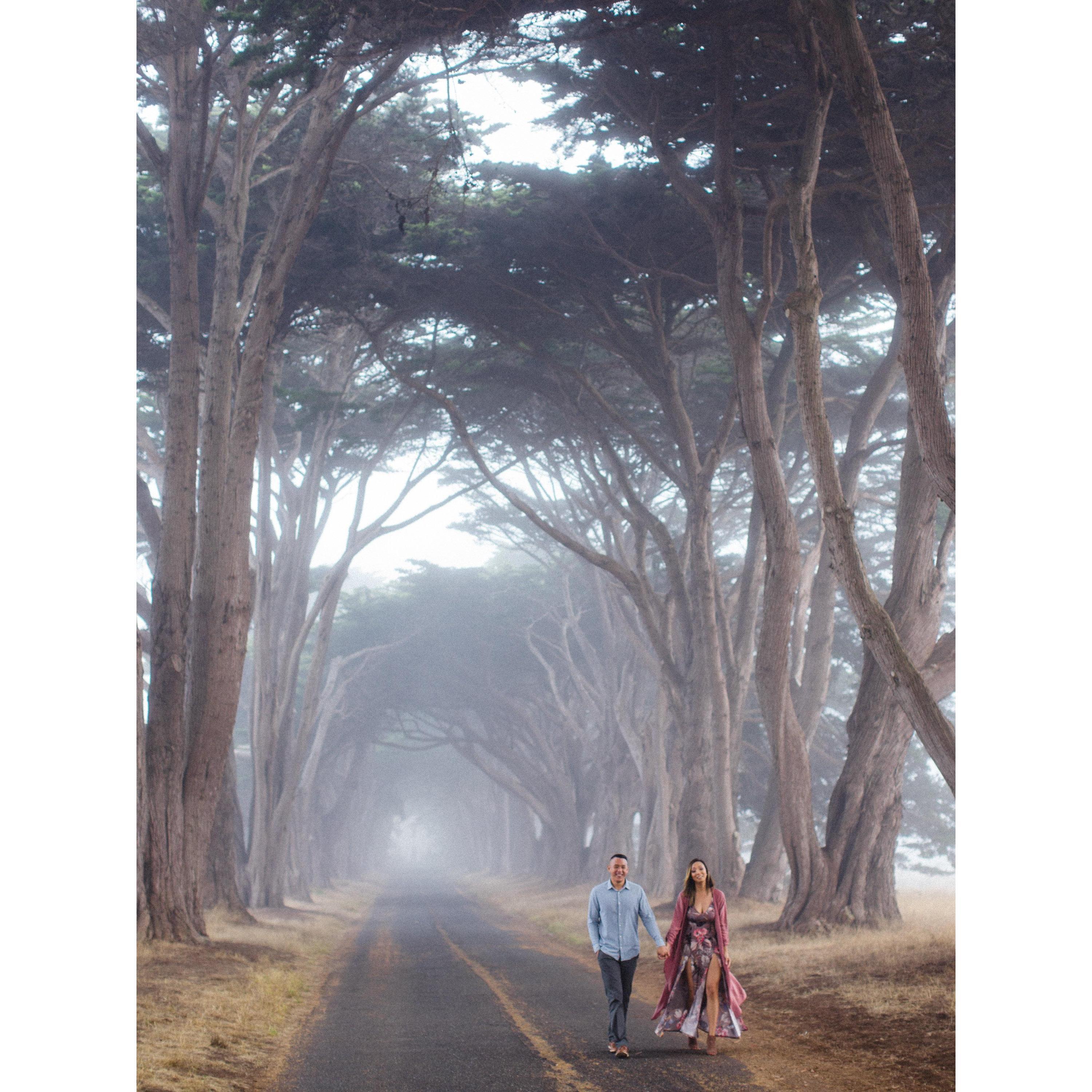 Engagement Session at Pt Reyes
Photography by Brandon J Ferlin
(www.brandonjferlin.com)