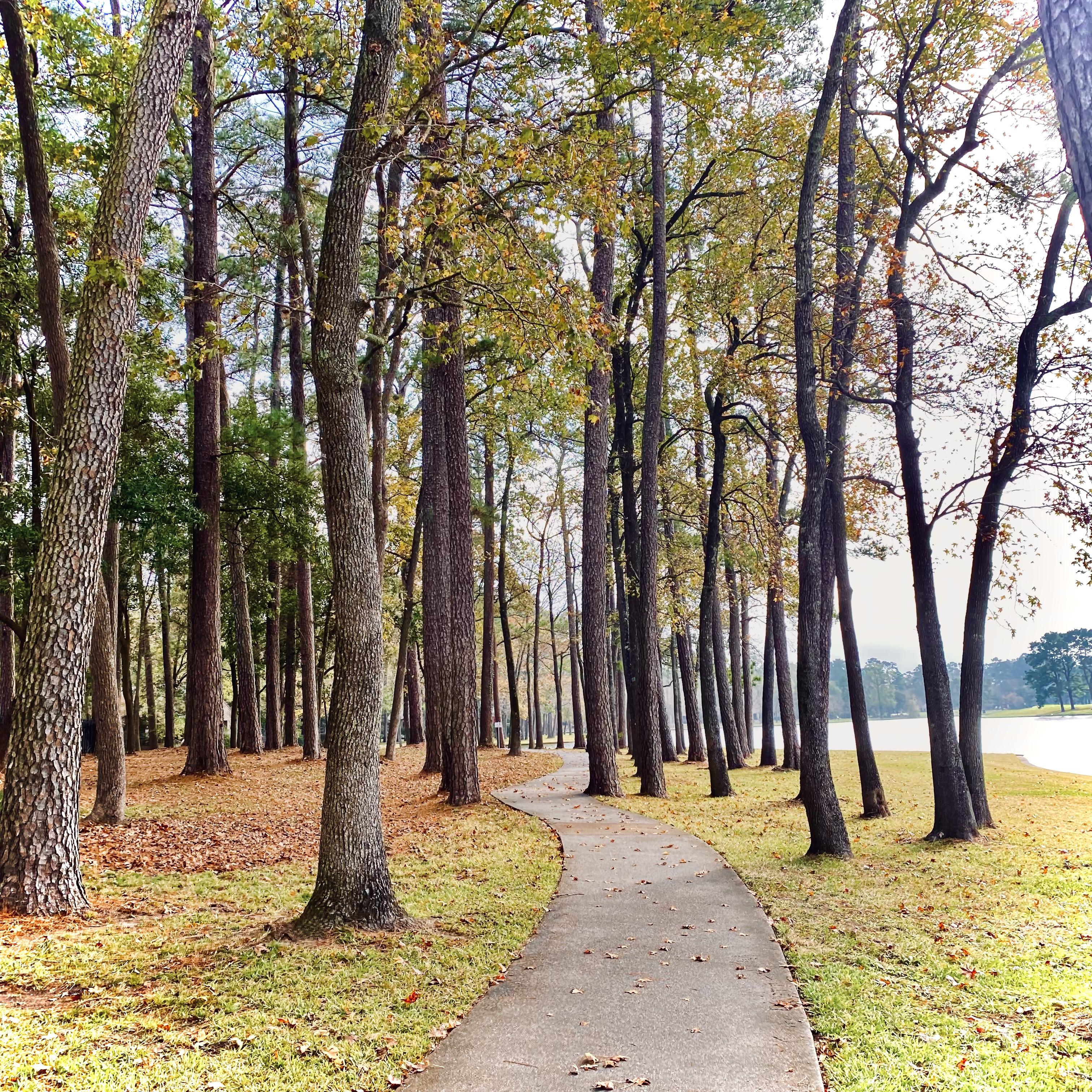We love the Trees and green spots . We love hike, listen the birds and take breath over there .