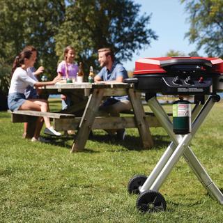 RoadTrip 225 Portable Stand-Up Propane Grill
