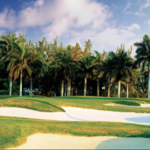 Half Moon: Golfing