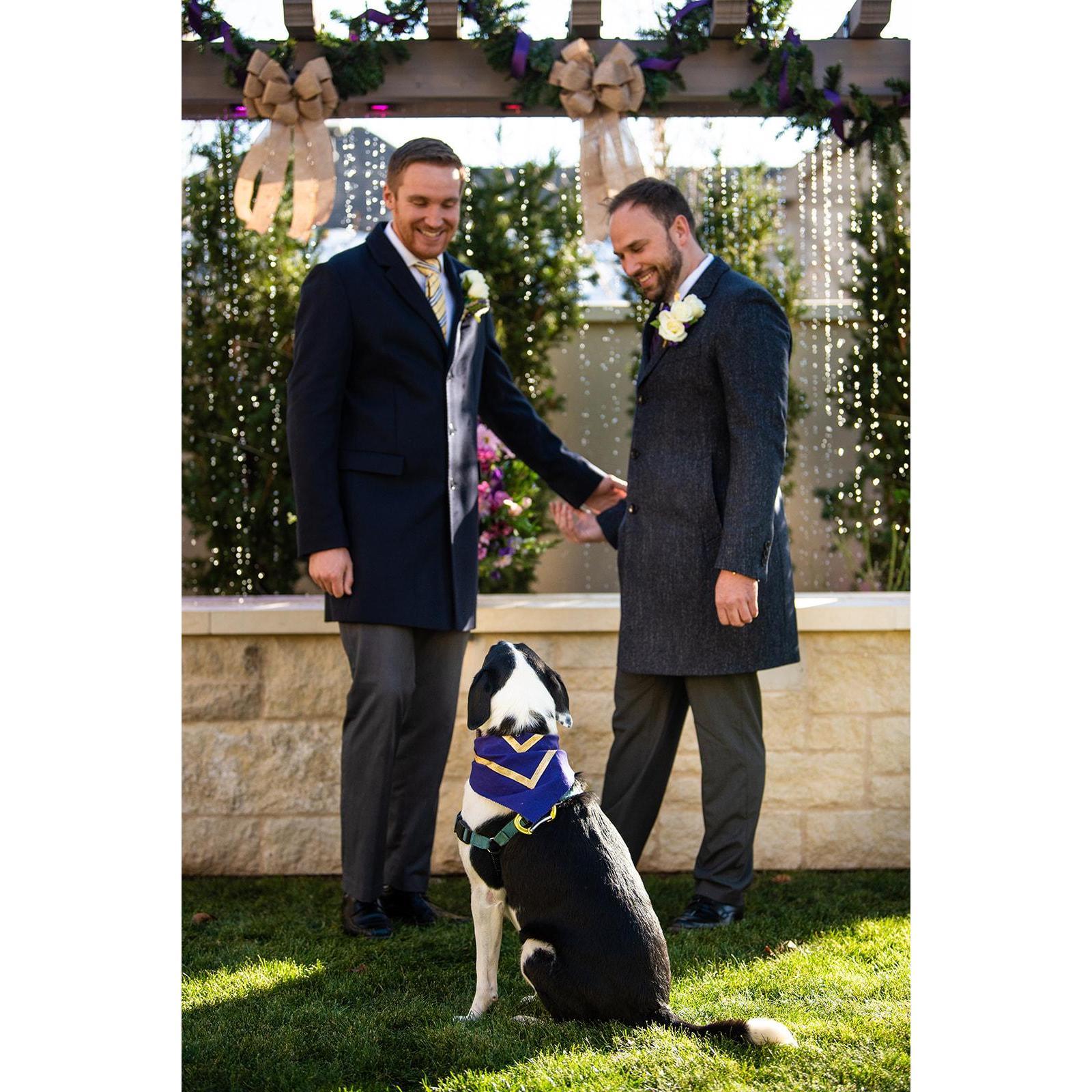 Our Elopement - November 13th, 2020