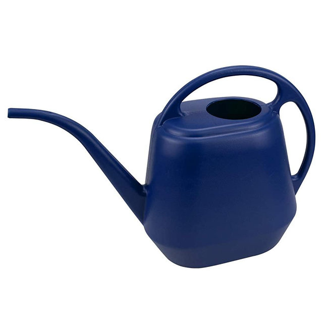 Fasmov Plastic Watering Can, 1-Gallon, Blue