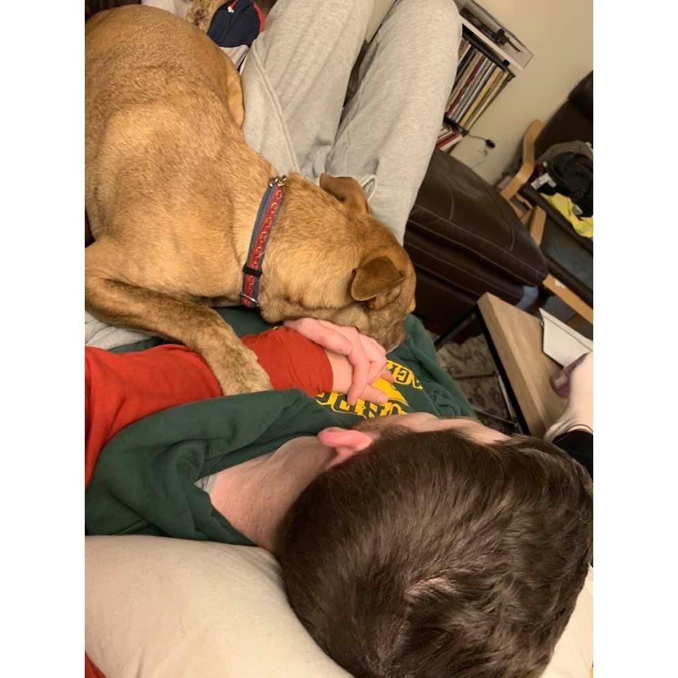 Most nights in the Gibbs-Anderson household.
