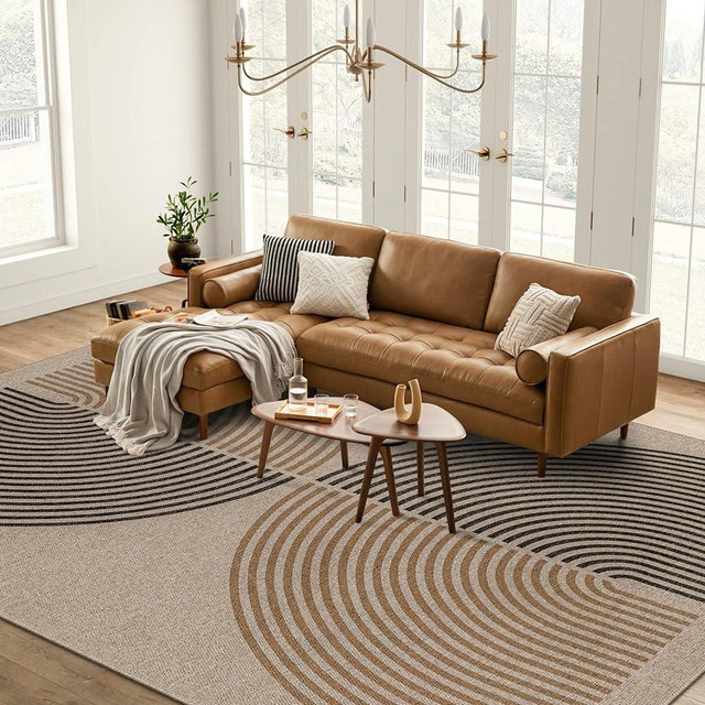 Lahome Modern Rainbow Easy Jute Rug, 8x10 Living Room Rug Indoor Outdoor Patio Rug Farmhouse Large Area Rug, Contemporary Dining Room Rug Non Slip Non Shedding Carpet for Bedroom Backyard